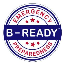 B-Ready logo thumbnail